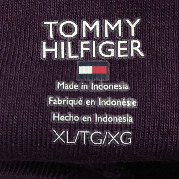 Lot of 2 Hilfiger Long Sleeve Blue & Purple XL - Picture 4 of 5
